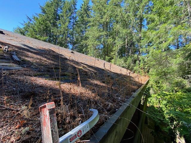 Photo of Yeti Gutter & Roof Cleaning