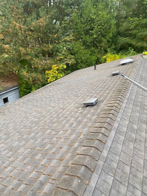 Photo of Yeti Gutter & Roof Cleaning
