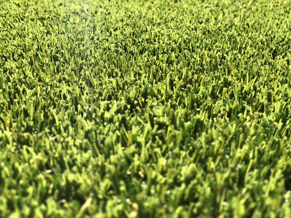 Photo of Master turf