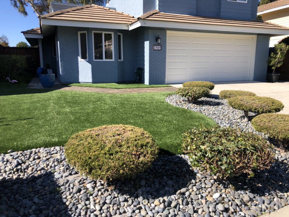 Photo of Master turf