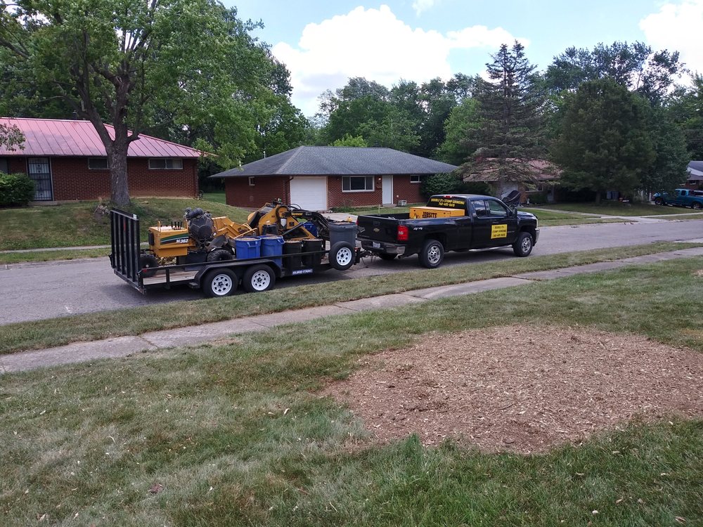 Photo of Double D's Stump Grinding & Removal