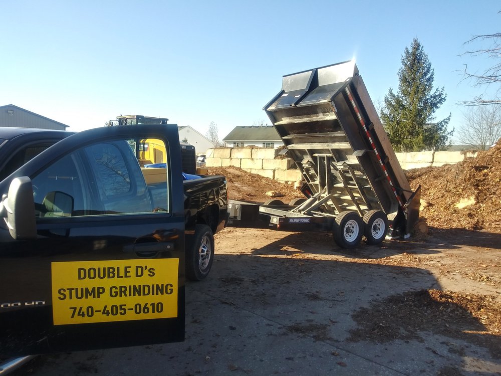 Photo of Double D's Stump Grinding & Removal