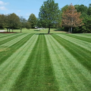 Columbia Grow It, Mow It