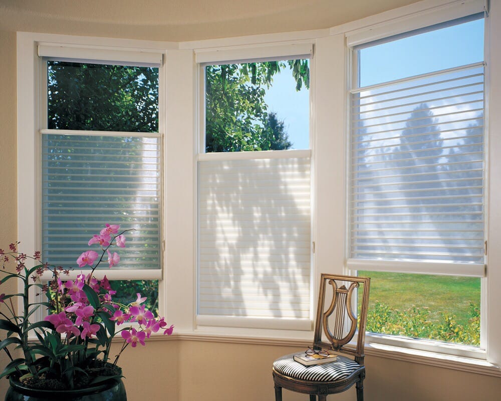 Photo of The Blinds Source