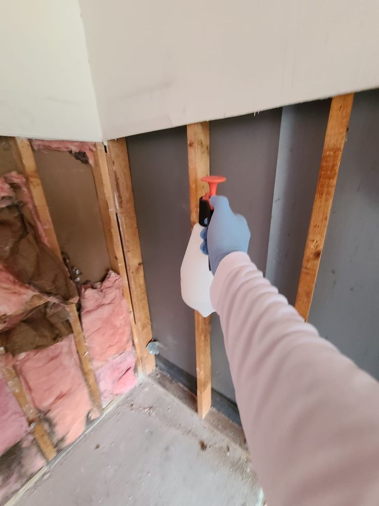 Photo of Dry Out Restorations of Texas