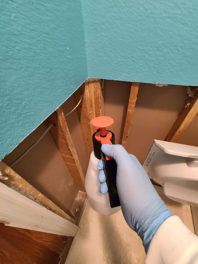 Photo of Dry Out Restorations of Texas
