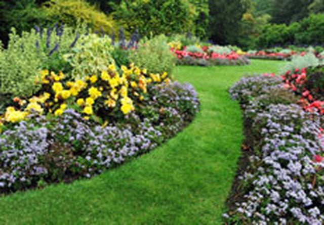 Photo of Oasis Landscapes