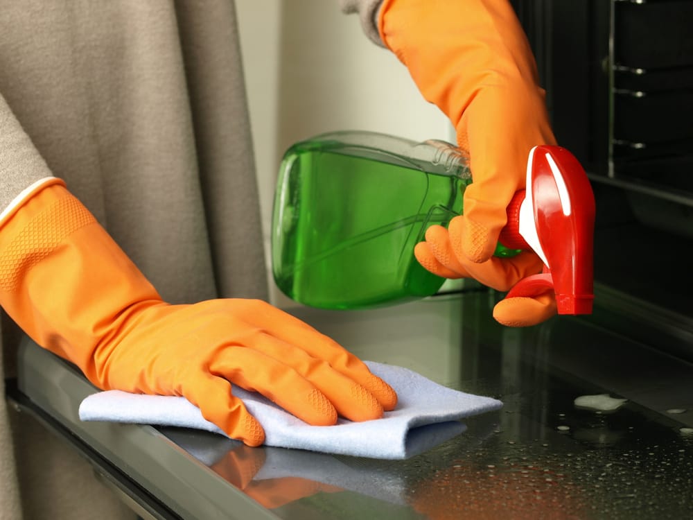 Photo of Your Housecleaners