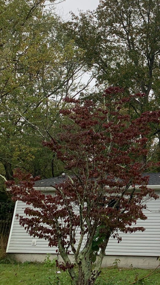 Photo of Caldwell Exteriors