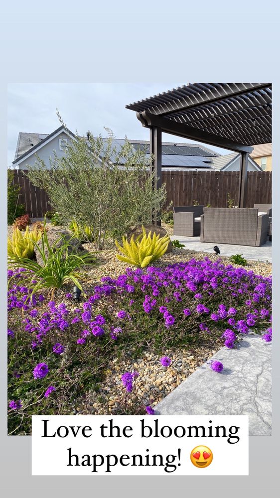 Photo of Santini's Landscaping