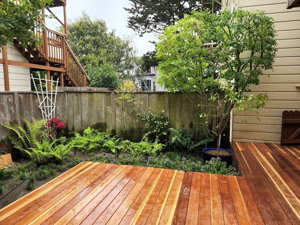 Photo of Perez's SF Gardening Services