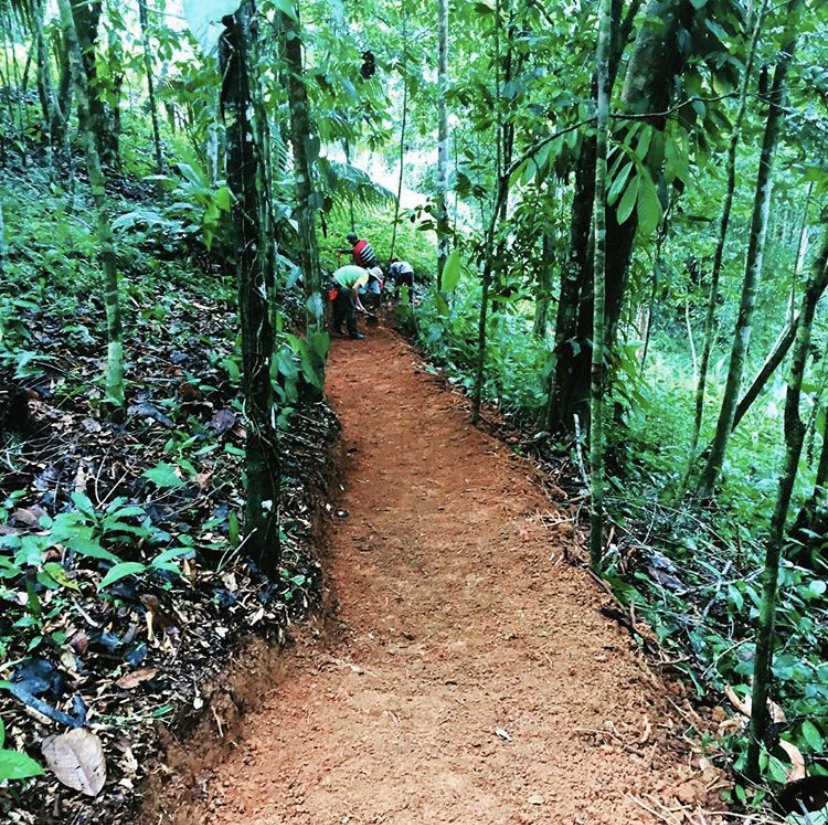 Photo of Permawheel