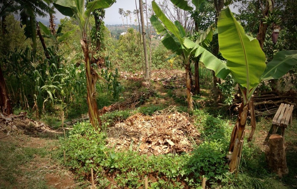 Photo of Permawheel
