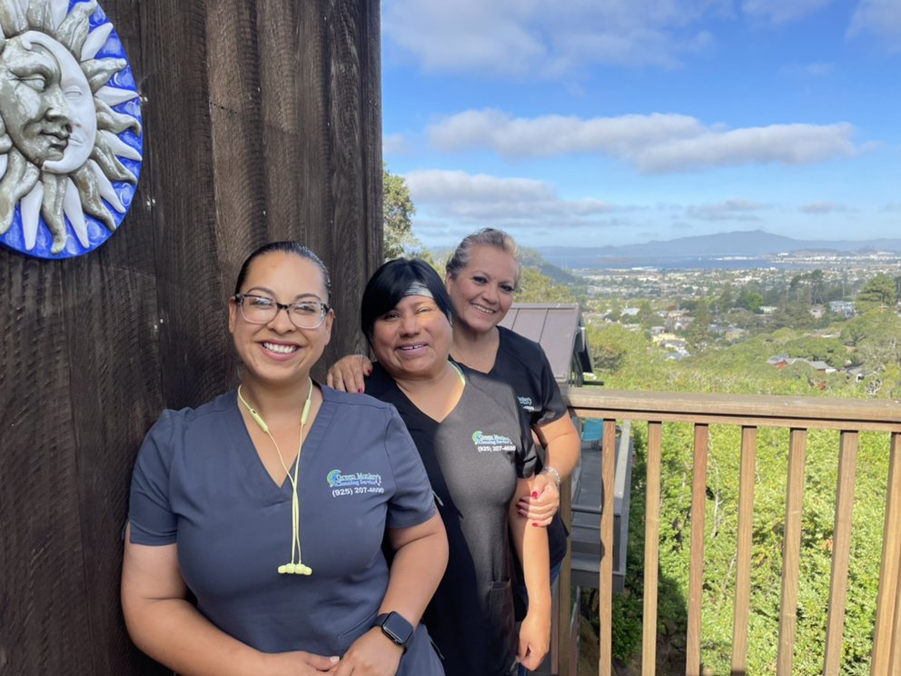 Photo of Green Monkeys Cleaning Service
