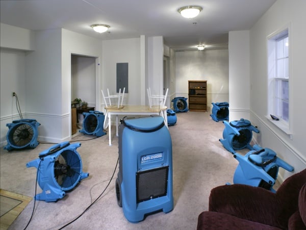 Photo of AllPhase Restoration