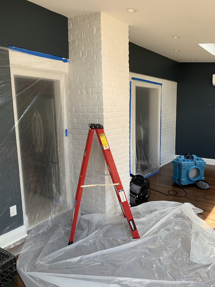 Photo of South Florida Mold Specialist