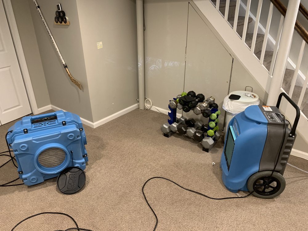 Photo of South Florida Mold Specialist