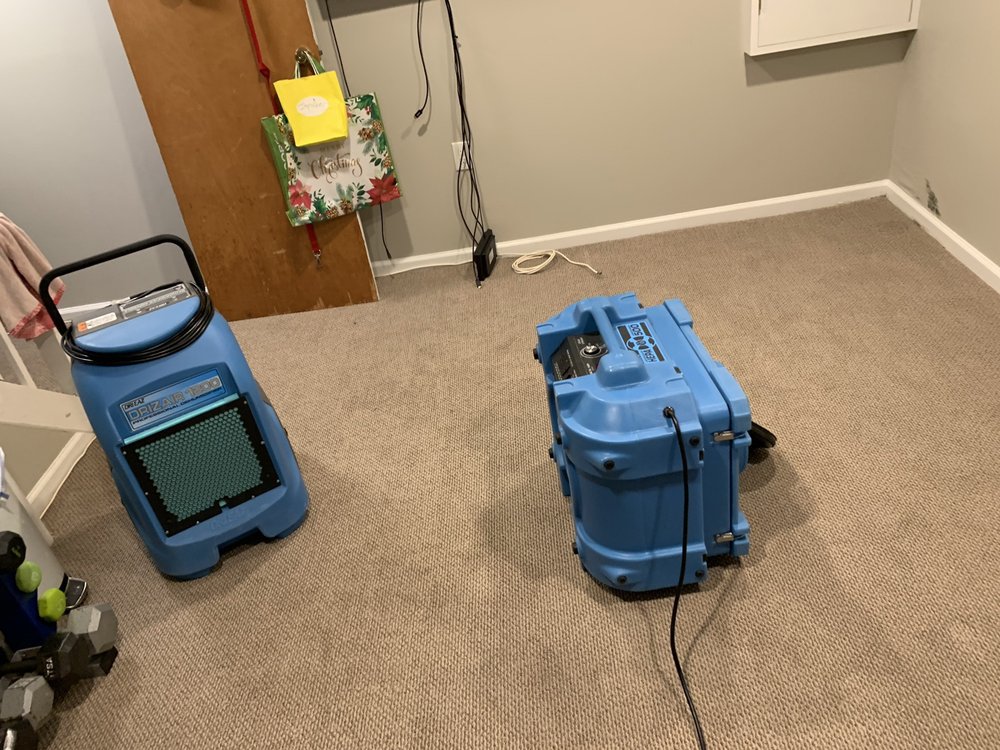 Photo of South Florida Mold Specialist