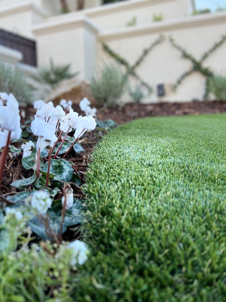 Photo of ROCK Turf and Landscape
