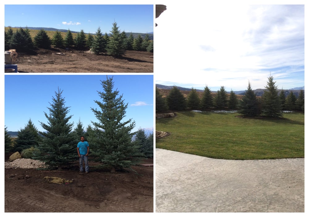 Photo of Cherry Brothers Landscape
