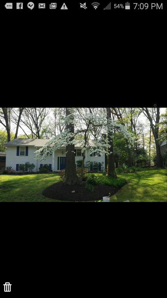 Photo of America's True Landscaping & Pressure Washing