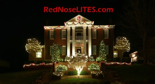 Photo of Red Nose Lites