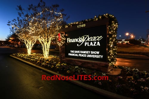 Photo of Red Nose Lites