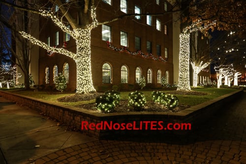 Photo of Red Nose Lites