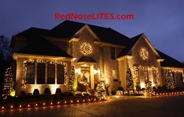Photo of Red Nose Lites