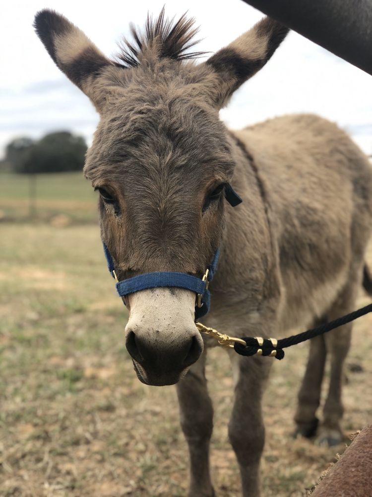 Photo of Circle J Ranch Ranch And Events