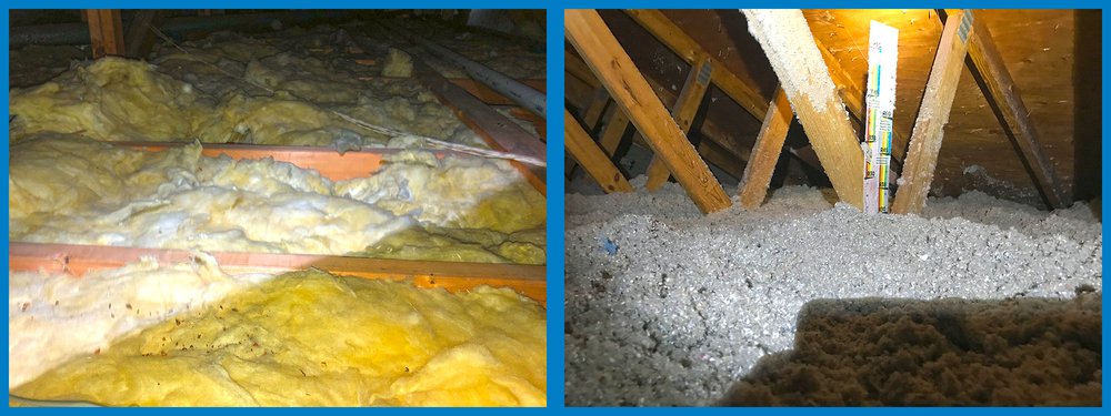 Photo of Cowleys Pest Services