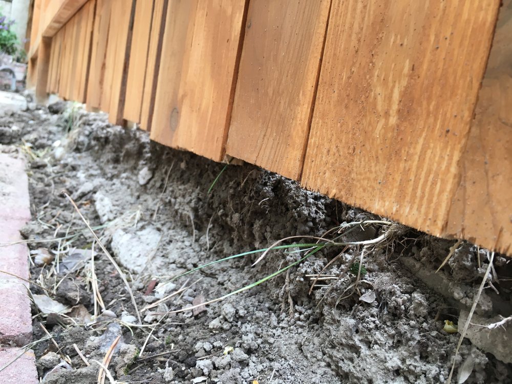 Photo of Outback Fencing