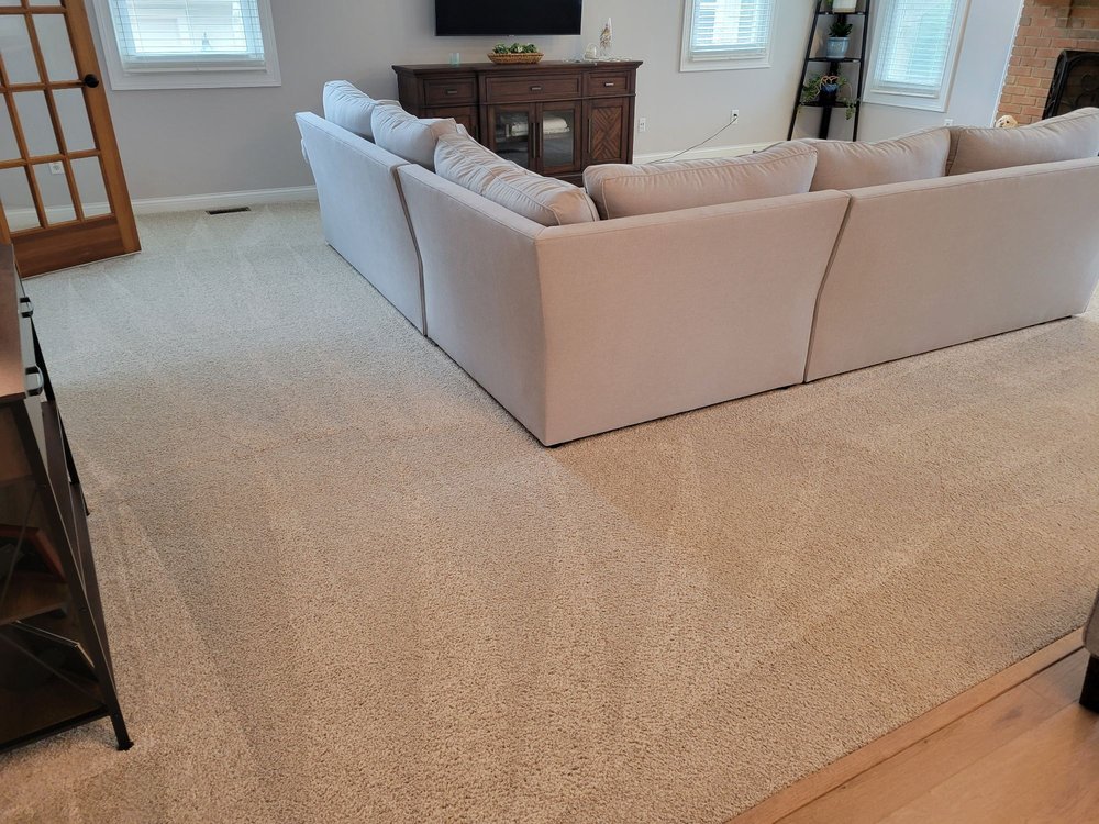 Photo of Technicare Carpet Cleaning