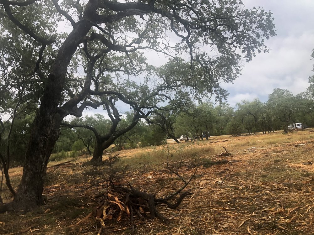 Photo of R & M Land Clearing, Demolition and Excavation