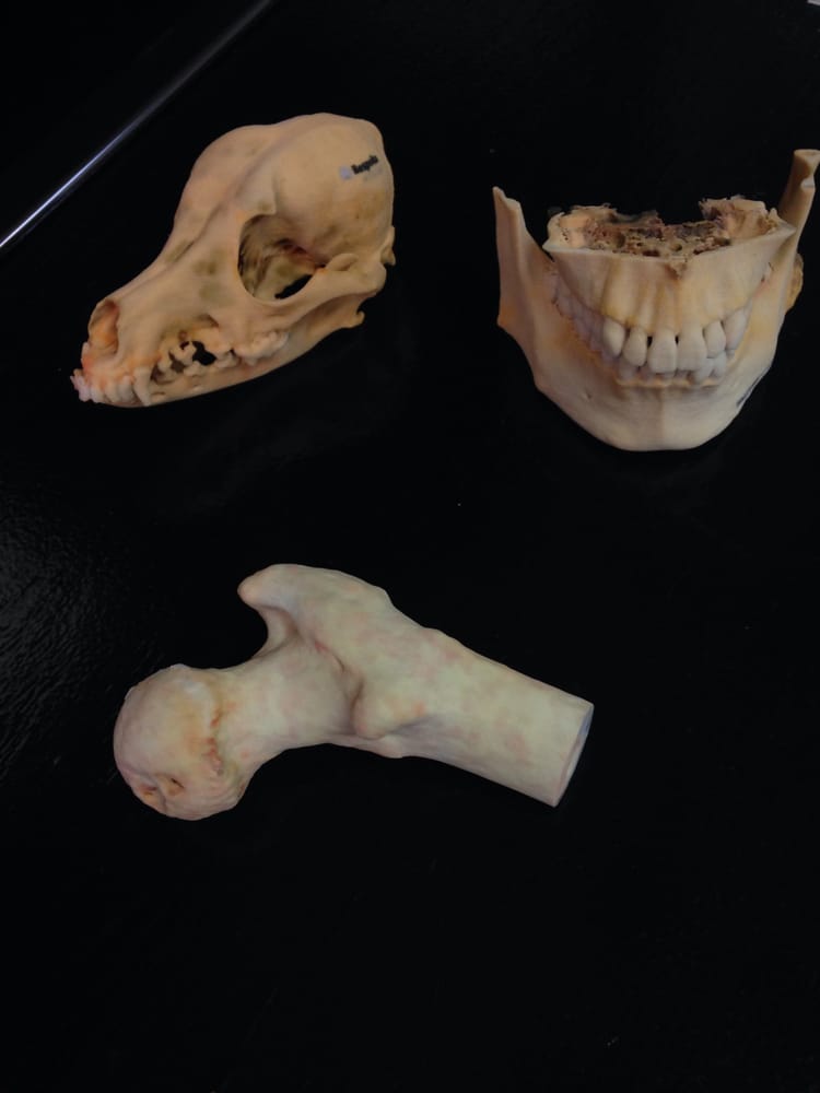 Photo of Entrescan