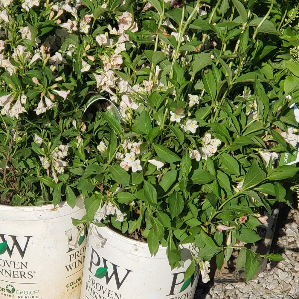 Photo of Rolling Meadows Landscape & Garden Center