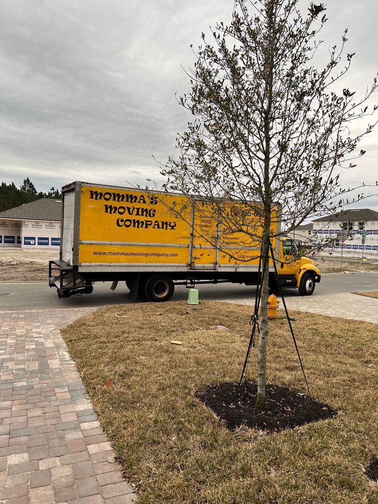 Photo of Momma's Moving Company