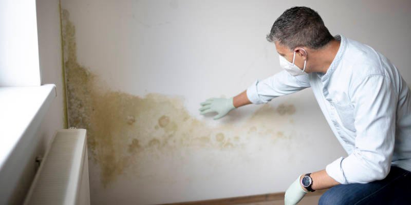 Photo of Carolina Crawlspace Pros