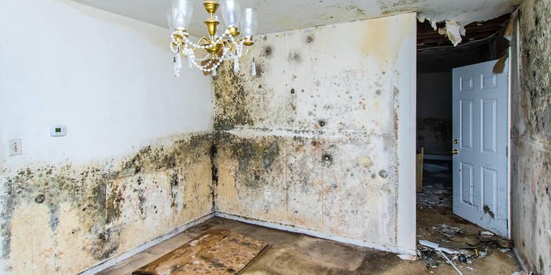 Photo of Carolina Crawlspace Pros