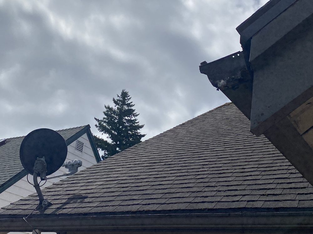 Photo of JT West Coast Gutter Service