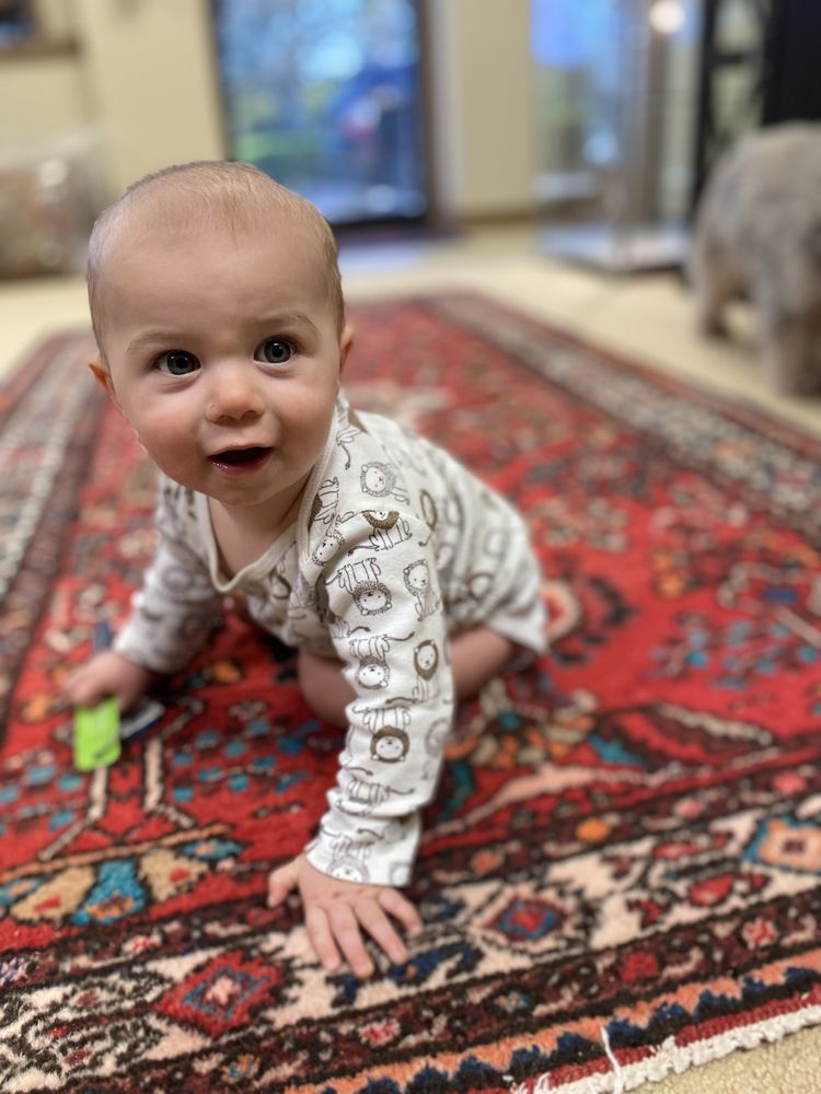 Photo of Great American Rug Cleaning Company