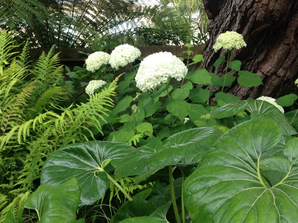 Photo of Rambunctious Gardens