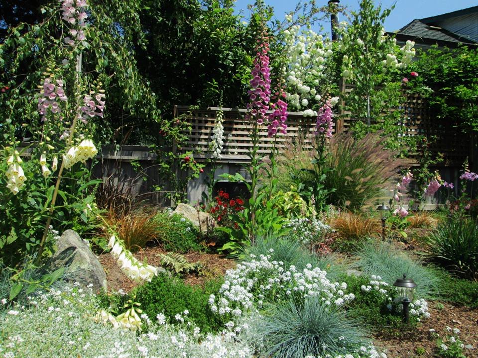 Photo of Rambunctious Gardens