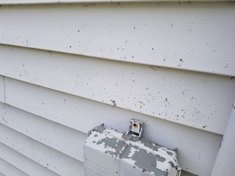 Photo of Glintex Exterior Cleaning