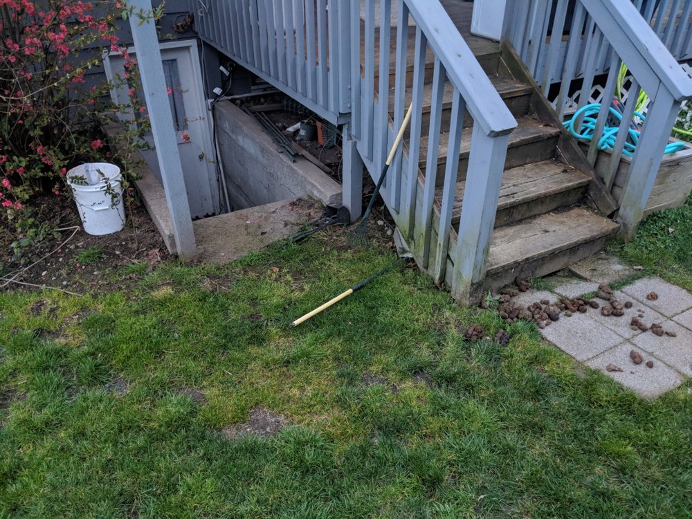 Photo of 5 Men & A Mower
