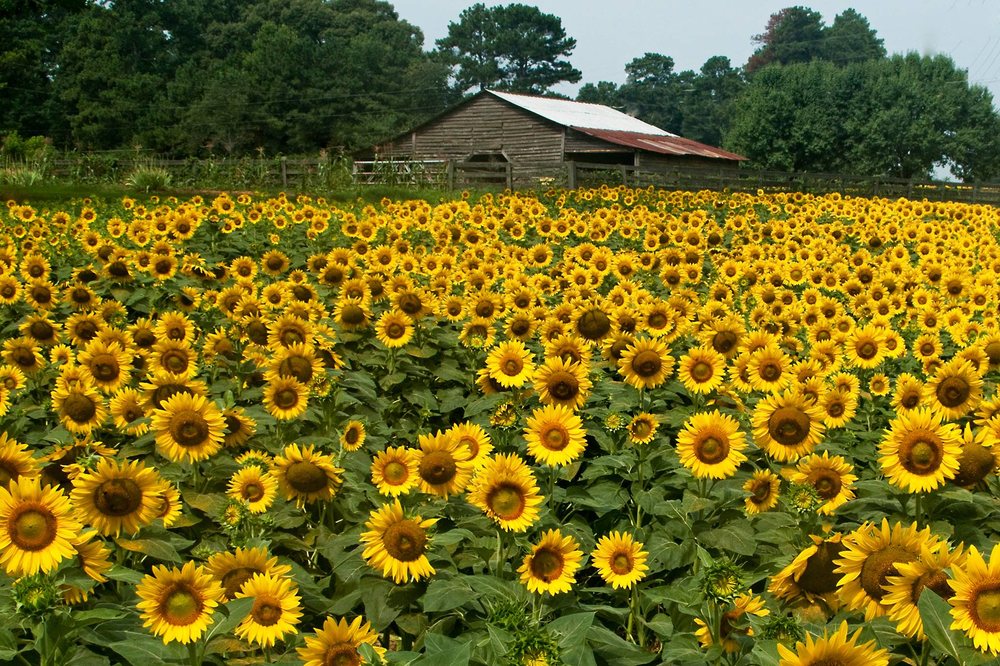 Photo of NatVest