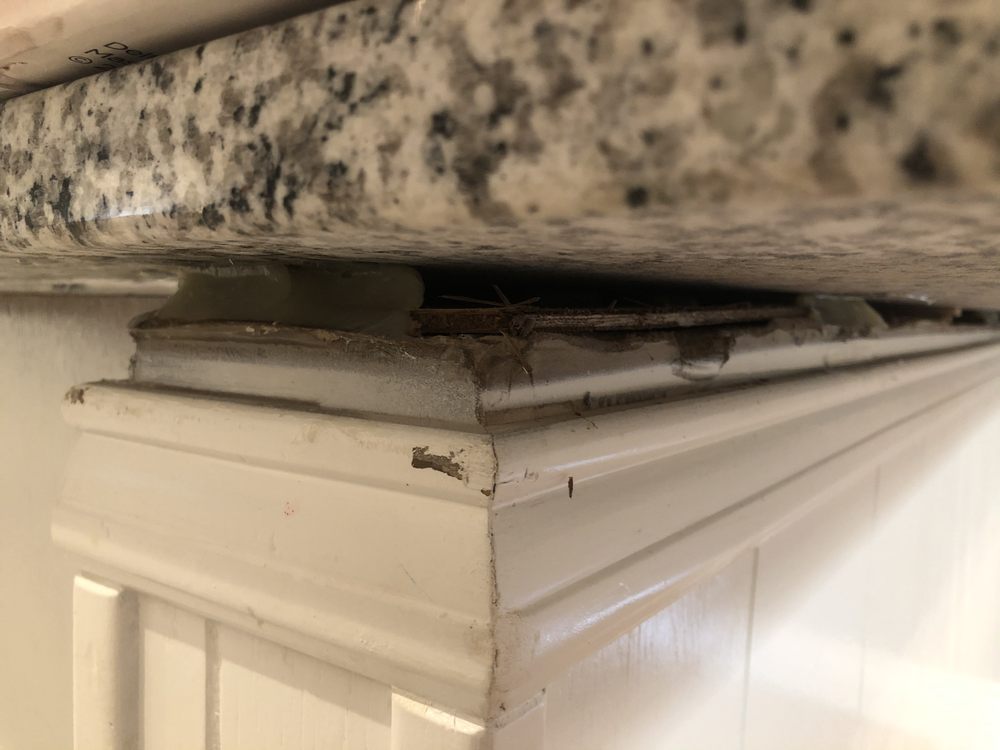 Photo of Irving Counter Top