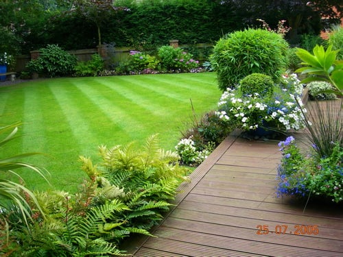 Photo of Organic Lawn Care