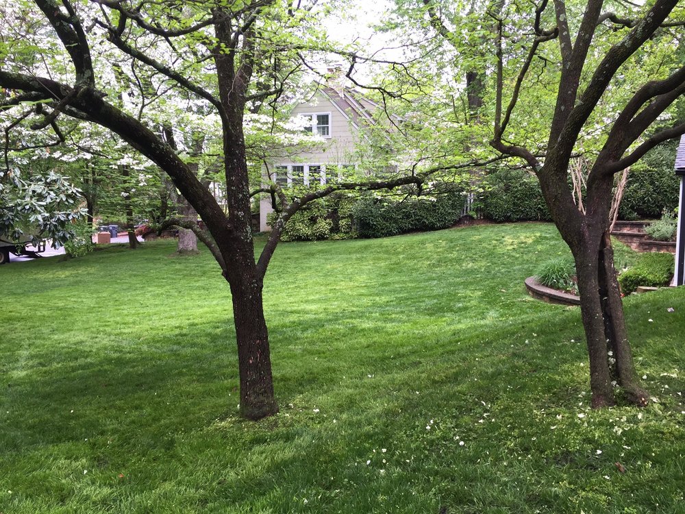 Photo of Organic Lawn Care