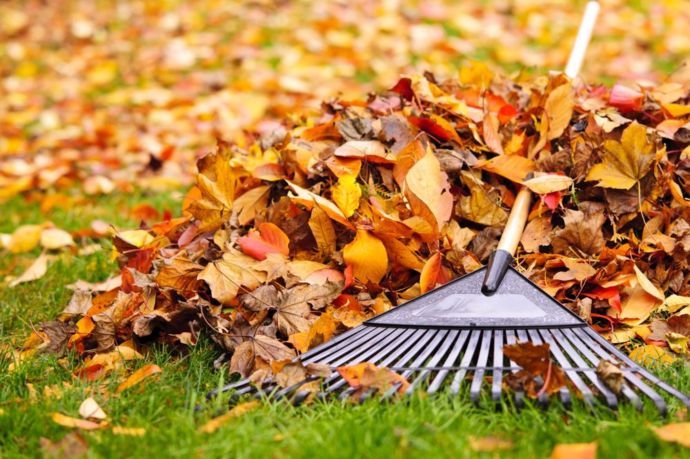 Photo of K's Lawn Services